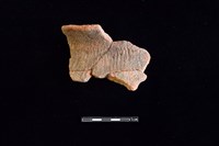 陶罐藏品圖，第1張